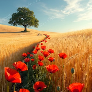 Könnte beinhalten: Eine malerische Landschaft mit einem Feld aus goldenem Weizen und einem Weg, der mit leuchtend roten Mohnblumen gesäumt ist. Ein einzelner Baum steht auf einem fernen Hügel unter blauem Himmel mit Wolken. Das Bild vermittelt Ruhe.