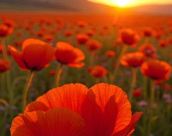 Stampa digitale "Tramonto in un campo di papaveri in stile cottagecore", paesaggio all'ora d'oro da appendere al muro.