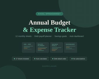 Excel-spreadsheet met jaarlijkse budgettracker | Maandelijkse onkostenplanner | Schuldaflossing | Besparingsdoelen | Digitale download
