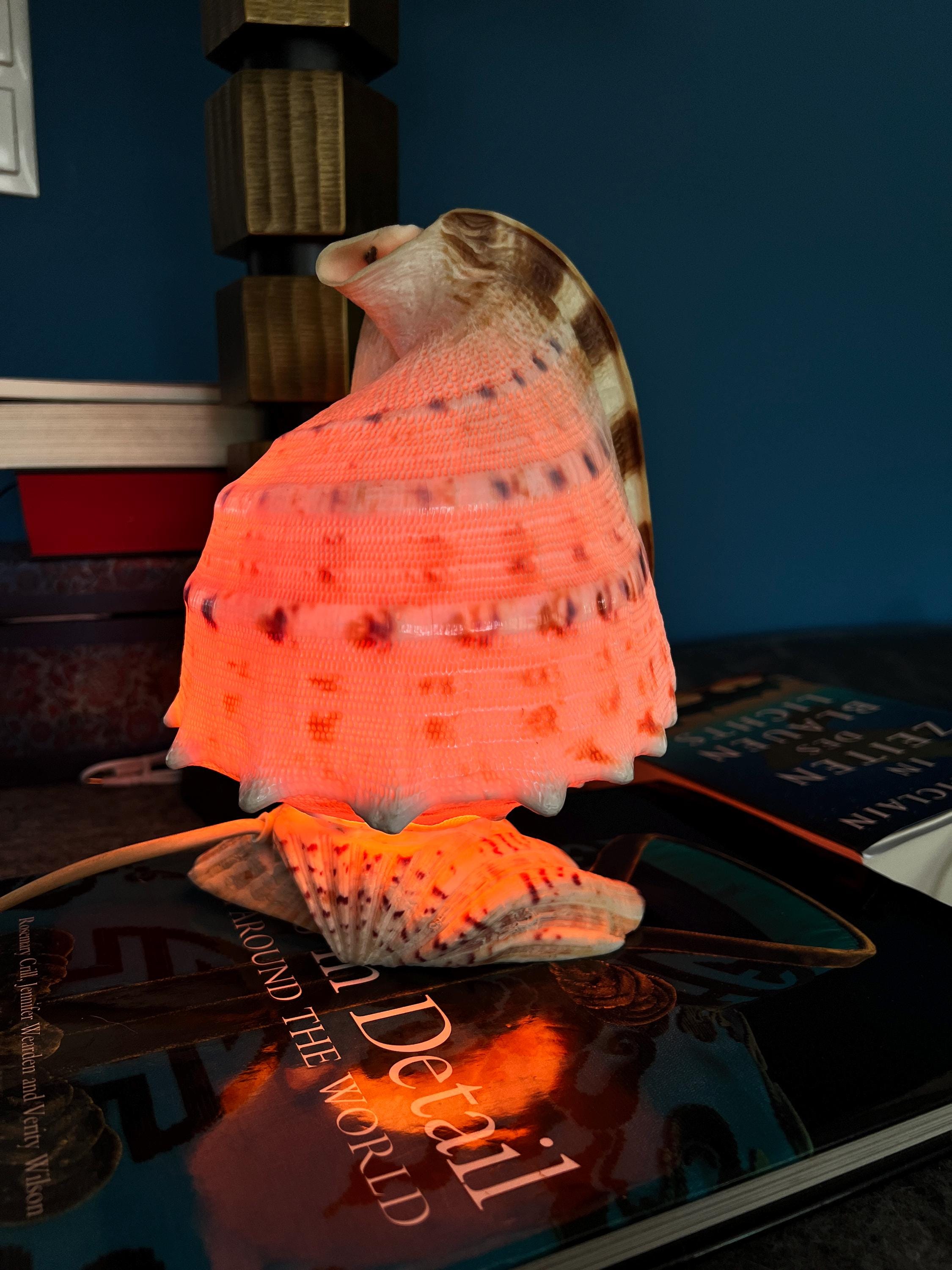 Cameo shell lamp - Etsy 日本