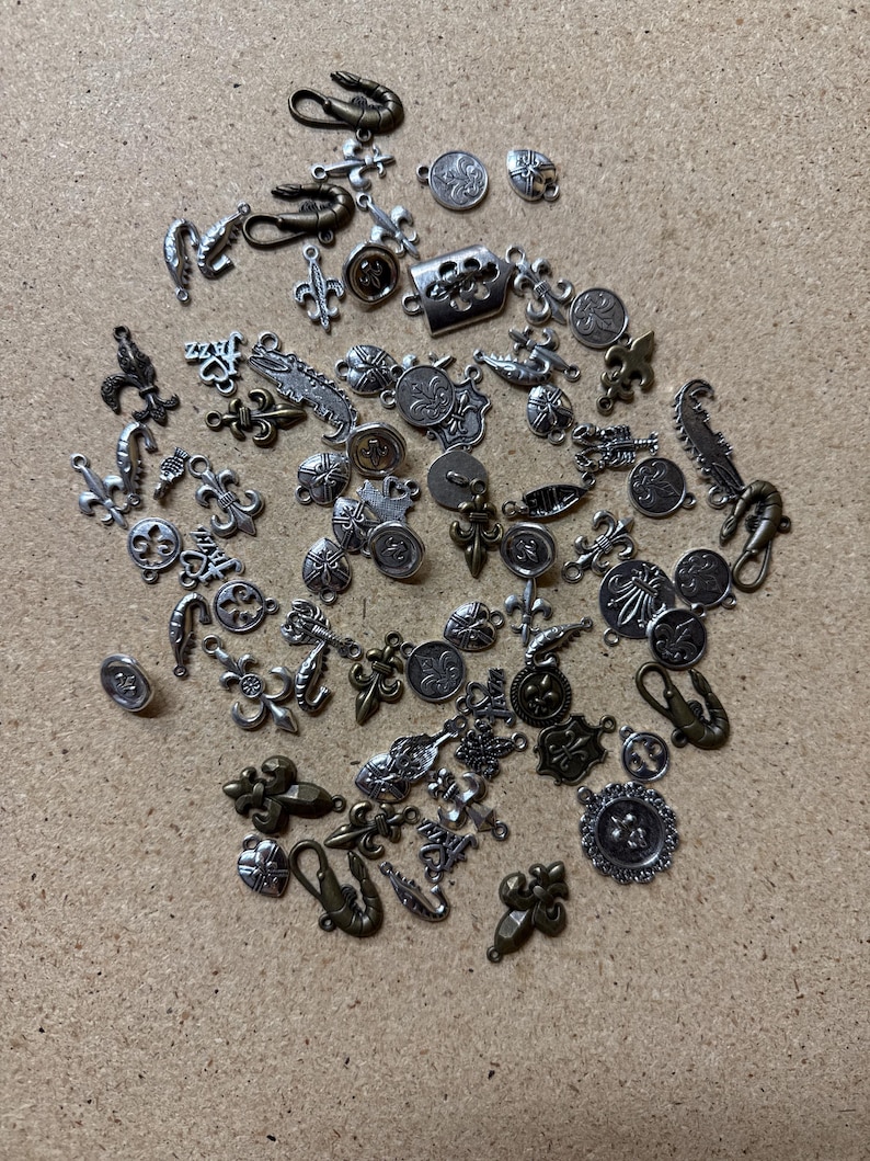 100 grams (Louisiana Themed) Mix Alloy Charm Lot Bulk Assorted Wholesale Priced Alloy Charms Pendants for Jewelry Making image 3
