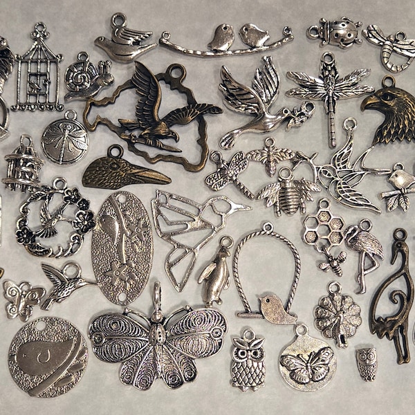 100 grams (Birds & Bugs Themed) Mix Alloy Charm Lot Bulk Assorted Wholesale Priced Alloy Charms Pendants for Jewelry Making