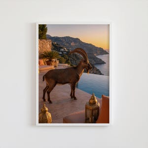 May include: Framed print showing a brown goat with curved horns by an infinity pool, overlooking a coastal scene at sunset. The image includes lanterns, seating, and a stone wall.