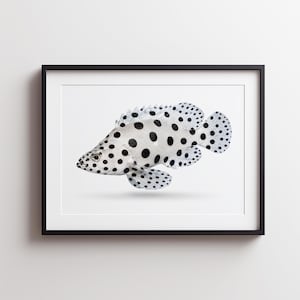 Barramundi Cod Wall Art Print, Photorealistic Ocean Fish Printable, Coastal Nursery Decor, Horizontal 300 DPI Digital Download