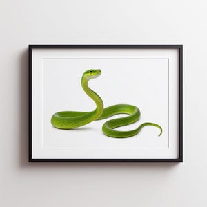 Impression d'art mural serpent arbre vert, reptile photoréaliste imprimable, décoration de chambre d'enfant animalière, horizontal 300 DPI téléchargement numérique