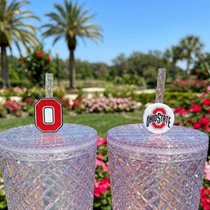 Op de afbeelding: Twee iriserende, getextureerde bekers met deksels en rietjes. Eén rietjesopzetstuk heeft een rood en wit "O"-logo, de andere zegt "OHIO STATE" in rood en wit. De achtergrond omvat palmbomen, bloemen en een blauwe lucht.