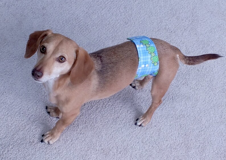 XXSLONG Good Dog Belly Band for male dogs with incontinence Etsy