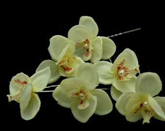 Set of 6 Phalaenopsis orchid with Fresh Water  Center Hair Pins