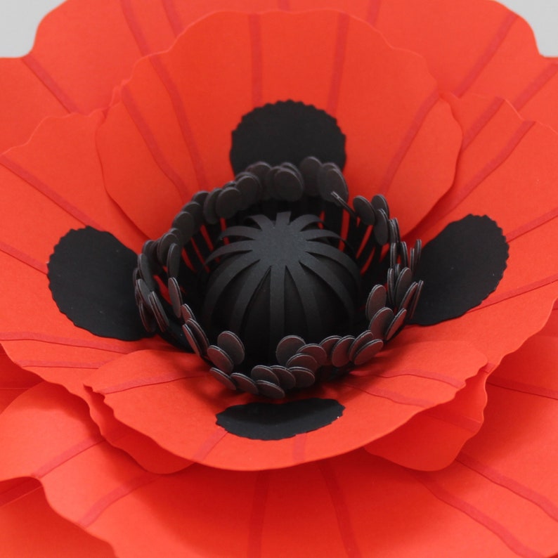 Paper Poppy Flower Template and diy Tutorial, Digital SVG DXF PDF, as well as Simplified 'Print and Cut' Printable image 3