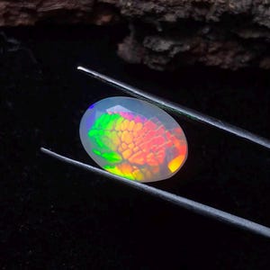 May include: An oval-shaped faceted opal gemstone displaying a vibrant play-of-color with distinct red, orange, and green honeycomb patterns. The translucent stone is held by a pair of metal tweezers, showcasing its internal fire and light refraction.