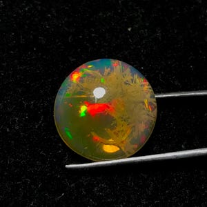 Puede incluir: Una gema de ópalo cabujón redonda y translúcida que presenta un juego de colores interno con destellos vibrantes en rojo, verde y amarillo, junto con inclusiones dendríticas pálidas en forma de helecho visibles en el interior.