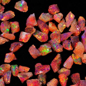 May include: A collection of raw, unpolished opal gemstones featuring vibrant flashes of red, orange, green, and blue color play. Each stone has an irregular, jagged shape with a translucent to opaque texture, scattered across a black background.