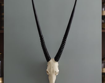 Antelope Skull Wall Decor | Faux Bone Replica | Vulture Culture Art | Rustic Cabin Gift