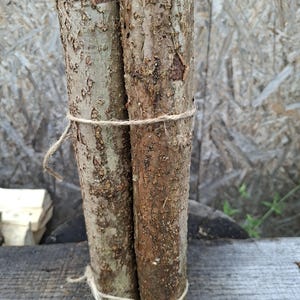 May include: Two cylindrical wooden logs with rough, textured brown bark, positioned vertically side-by-side and secured together with thin, light-coloured twine tied in two separate loops around the middle and bottom sections of the wood.