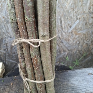 May include: A bundle of five cylindrical wooden sticks with textured brown and grey bark, secured together by two pieces of thin, light brown twine tied in simple knots around the top and bottom sections of the vertical arrangement.