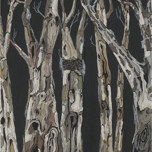 May include: A painting of a forest scene with tall, slender trees with intricate bark patterns. The trees are painted in shades of brown, white, and gray against a dark background. The painting is signed "Shoa Gallery" in the bottom right corner.