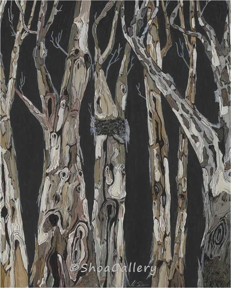 May include: A painting of a forest scene with tall, slender trees with intricate bark patterns. The trees are painted in shades of brown, white, and gray against a dark background. The painting is signed "Shoa Gallery" in the bottom right corner.