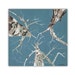 see more listings in the Large Wall Art Trees section