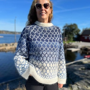 Ing Sweater Knitting Pattern | Scandinavian Colourwork Sweater | Seamless Raglan Sweater | Nordic Knit | PDF Download