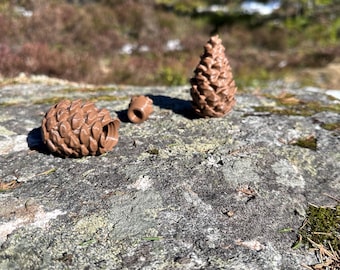 Pinecone Nosework Container