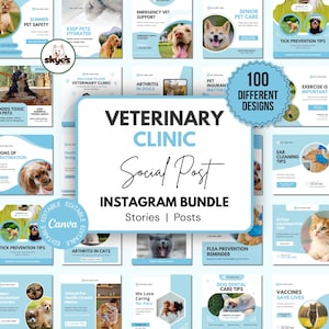 Veterinary Clinic Social Media Templates Canva, 100 Vet Instagram Posts + Matching Stories, Veterinary Marketing Bundle, Pet Clinic Content
