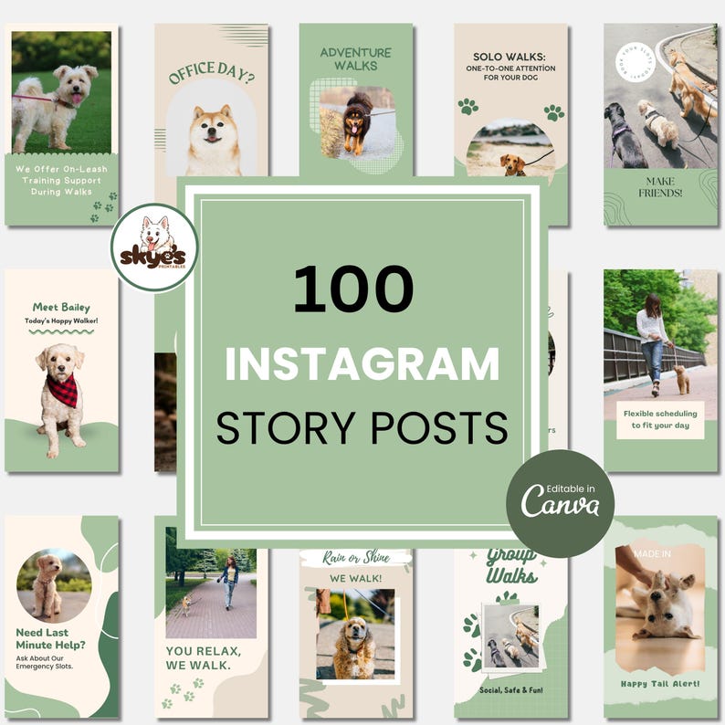 A set of 100 Instagram story posts in green and white, featuring dogs and text. The posts promote a dog walking service, with phrases such as "Adventure Walks" and "Solo Walks". The posts are editable in Canva.
