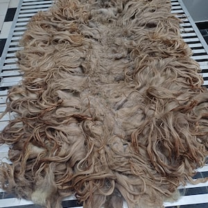 Puede incluir: Un vellón de oveja crudo y sin hilar con mechones largos, ondulados y enmarañados en tonos marrón claro, beige y gris. Las fibras de lana natural están densamente compactadas y texturizadas, mostrando un aspecto tosco y orgánico.