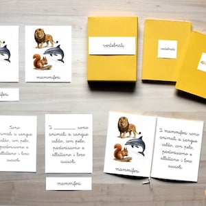 Puede incluir: Tarjetas didácticas y cuadernos con ilustraciones de animales. Las tarjetas presentan un león, un delfín y una ardilla, con la palabra "mammiferi" debajo. Cuadernos amarillos con la palabra "vertebrati".
