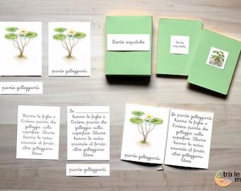 Nomenclature Montessori _ TIPI di PIANTE ACQUATICHE