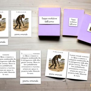 May include: A set of educational materials about human evolution, including light purple booklets, cards with illustrations of early hominids, and text cards in Italian. The cards feature the text "primi ominidi" and "tappe evolutive dell'uomo".