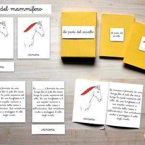 Può includere: Set educativo composto da libretti gialli e schede bianche con illustrazioni di una testa di cavallo con criniera rossa. Il testo include 'Le parti del mammifero', 'Le parti del cavallo' e 'criniera' in scrittura corsiva.