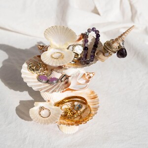 Soporte para joyas de conchas marinas, organizador costero, decoración playera, expositor de conchas hecho a mano