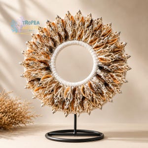 Small Seashell Wall Art | Coastal Shell Decor | Beach House Wall Hanging & Tabletop Accent