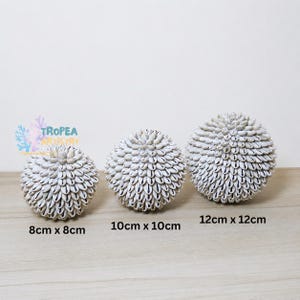 Puede incluir: Tres objetos decorativos esféricos cubiertos de conchas de cauri blancas, dispuestos en orden de tamaño creciente. Las esferas están etiquetadas con dimensiones de 8cm x 8cm, 10cm x 10cm y 12cm x 12cm. Un logo con el texto TROPEA ARTISTRY es visible.