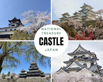 Castillos, tesoros nacionales de Japón: Colección de fotografías de Sakura Night View (Fotografías digitales)