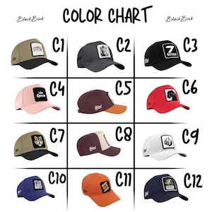 May include: A colour chart displaying twelve baseball caps labelled C1 through C12. The caps feature various colours including tan, grey, black, pink, maroon, red, white, blue, and orange, with diverse graphic patches and the BlackB&ouml;rk brand logo.