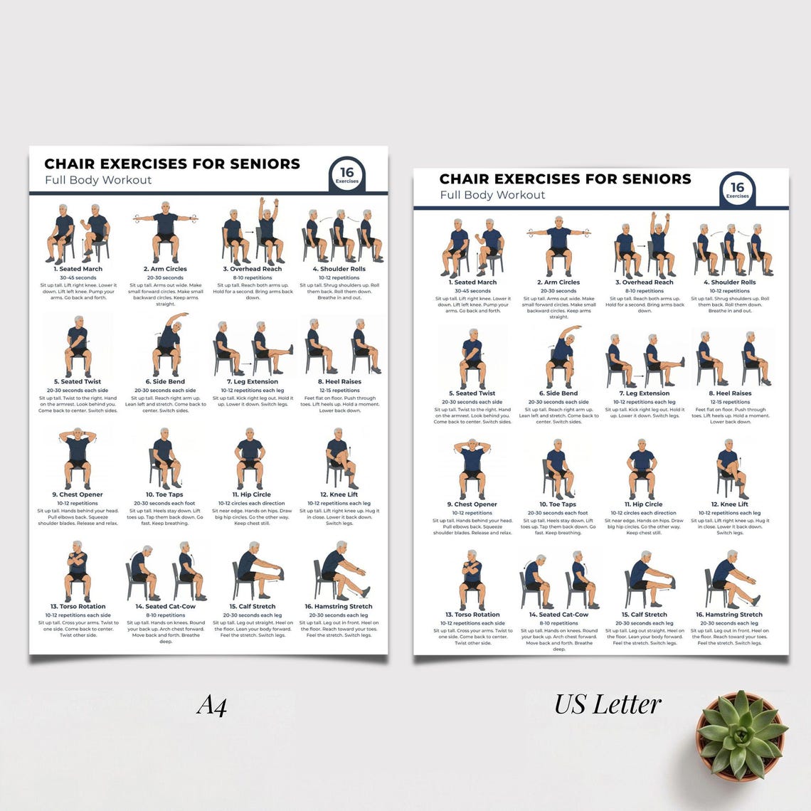 Printable Chair Exercise Chart, Chair Exercises for Seniors, Seated