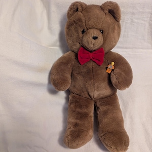 Vintage Dakin Teddy Bear - Etsy