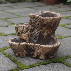 Puede incluir: Una maceta de varios niveles con forma de tocón de árbol ahuecado con un exterior texturizado similar a la corteza en tonos marrón y bronceado. La estructura cuenta con dos cuencas abiertas distintas para plantar, mostrando un acabado de grano de madera realista.