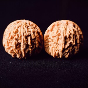 Unique Pair #668 | Pumpkin Bottom White Lion Head 40 x 39 mm | Natural Muffled Tip Sphere | Hand Exercise Meditative Tool | Wood fidget toy