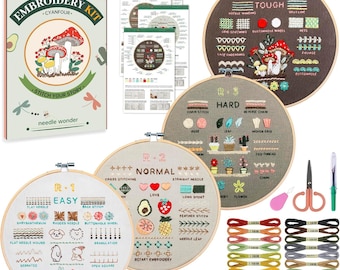 Kit de broderie pour débutants, apprenez 38 points avec instructions et accessoires
