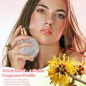 May include: A clear, round glass perfume bottle with a gold spray nozzle held in a hand. The text reads: Witch Hazel - A Stable Fragrance Profile. Adds a Fresh Sensation, Enhances Scent Diffusion, Gentle and Non-Irritating. Yellow witch hazel flowers.