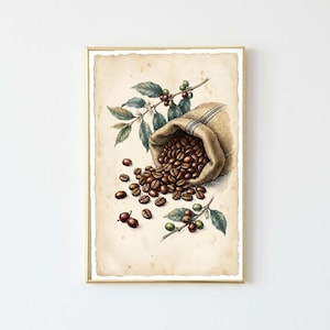 Può includere: Un'illustrazione botanica incorniciata su carta invecchiata che raffigura un sacco di iuta da cui fuoriescono chicchi di caffè tostati, circondato da foglie di pianta di caffè e piccole ciliegie di caffè rosse e verdi, in cornice dorata.