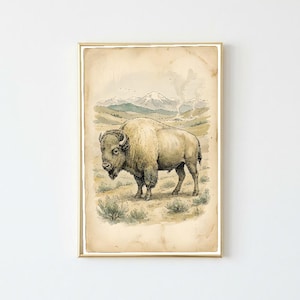 Può includere: Una stampa artistica incorniciata che presenta un'illustrazione dettagliata a inchiostro e acquerello di un bisonte in un paesaggio erboso con montagne in lontananza. La carta ha un aspetto invecchiato con bordi color cuoio e una cornice dorata.