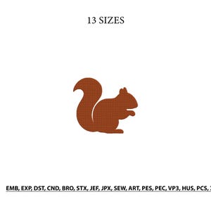 May include: A brown squirrel embroidery design silhouette centered on a white background. The text 13 SIZES appears at the top, and the text EMB, EXP, DST, CND, BRO, STX, JEF, JPX, SEW, ART, PES, PEC, VP3, HUS, PCS, XXX is printed at the bottom.