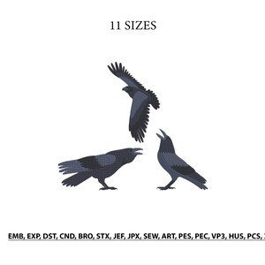 May include: An embroidery design featuring three black ravens in different poses, with the text 11 SIZES at the top and a list of file formats including EMB, EXP, DST, CND, BRO, STX, JEF, JPX, SEW, ART, PES, PEC, VP3, HUS, PCS, and XXX at the bottom.