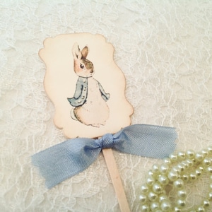 Cupcake Toppers Picks-Peter Rabbit Baby Shower Birthday Party Cupcake Topper Pick-Cake Toppers-Set of 12
