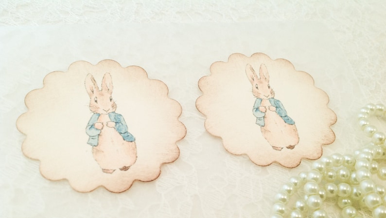 Peter Rabbit Stickers-Bunny Rabbit Birthday Favor Stickers-Treat Bag Stickers Labels-Set of 12