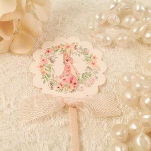 Peter Rabbit Pink Jacket Cupcake Pick Toppers Labels-Beatrix Potter Cake Toppers-Set of 12