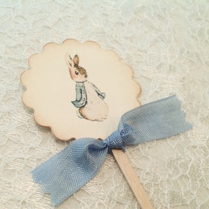 Peter Rabbit Beatrix Potter Cupcake Pick Topper-Baby Shower Birthday Decorations Cake Toppers Picks-Set of 12